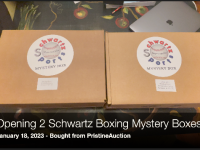 Opening 2 Schwartz Boxing Glove Mystery Boxes